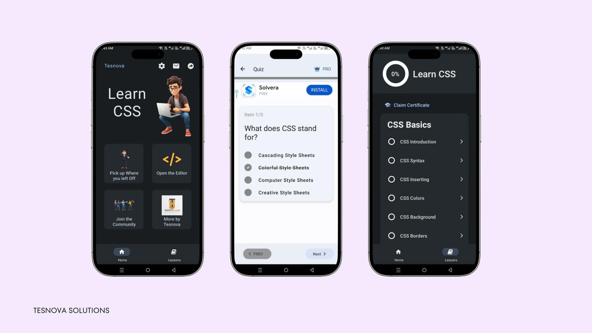 Learn CSS Course screen 2
